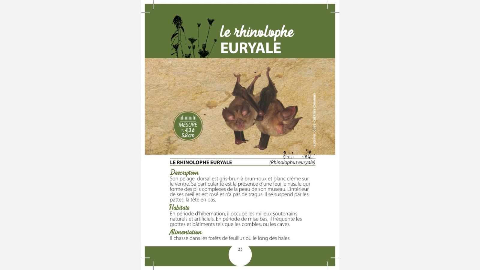 Carnet des espèces Natura 2000