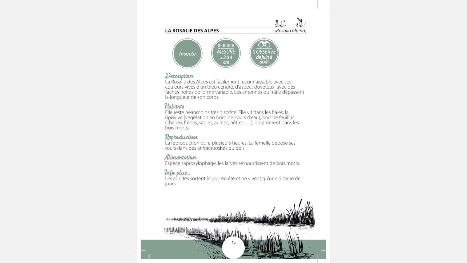 Carnet des espèces Natura 2000